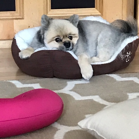 Meet your Posher, Lawana - Picture 3 of 3